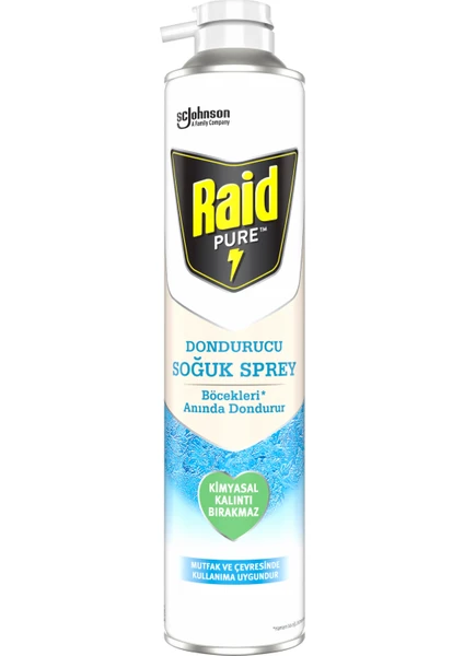 Raid Pure Böcek Dondurucu Sprey 350 ml
