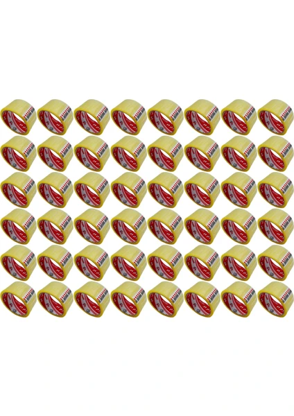 Ve-Ge Vege Aslan Koli Bandı 45X40 Metre 48 Adet